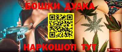 молекула духа Бердск