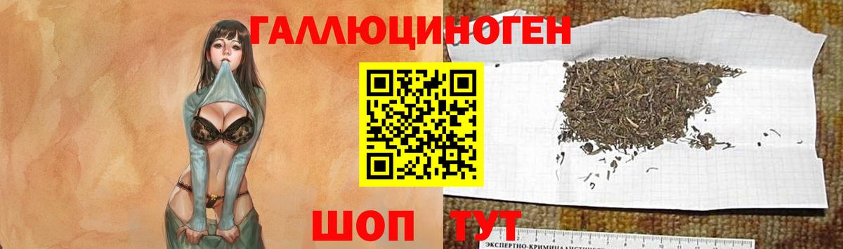 Псилоцибиновые грибы мухоморы  Вход с VPN  Псилоцибиновые грибы Magic Shrooms  Гусев 